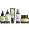 Tea Tree Acne Set